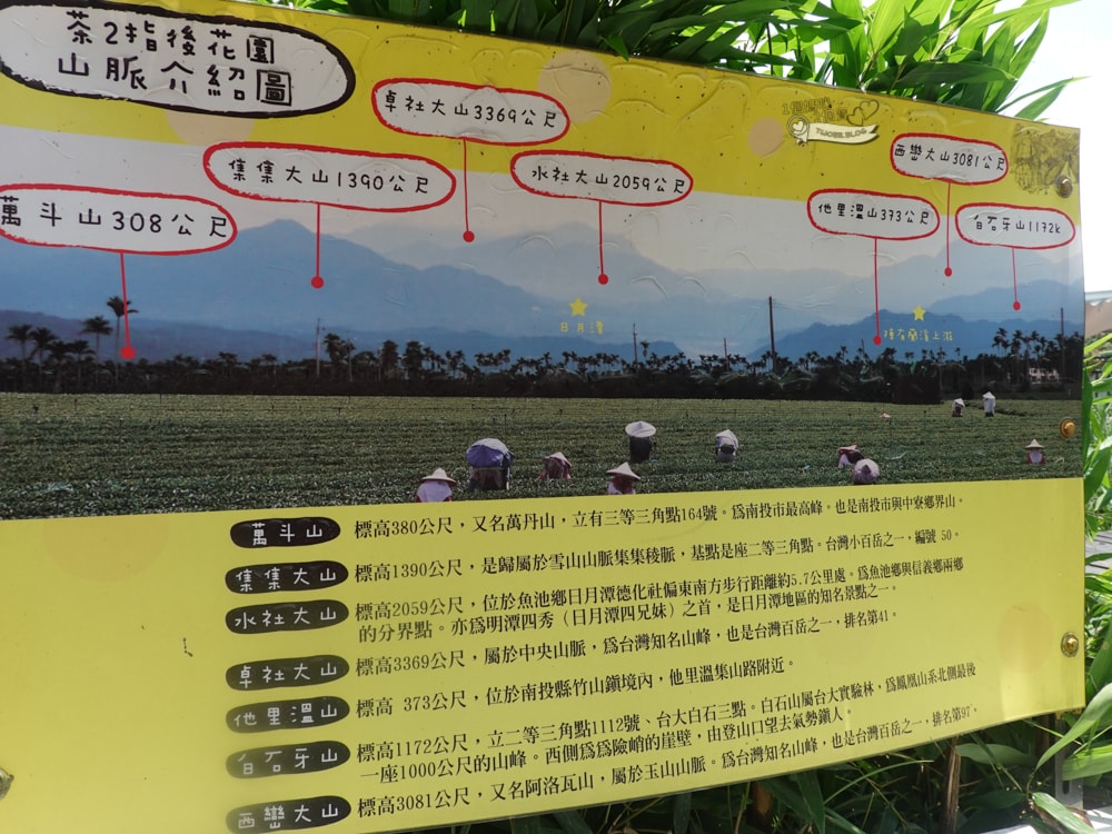 南投景點|茶二指故事館》造訪茶田、好拍造景及手做香包,沙坑,還有吸睛彩色水管屋。 - 第31張圖