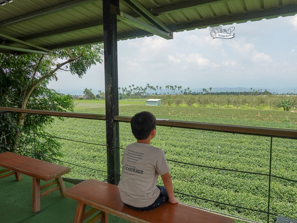 南投景點|茶二指故事館》造訪茶田、好拍造景及手做香包,沙坑,還有吸睛彩色水管屋。 - 第25張圖
