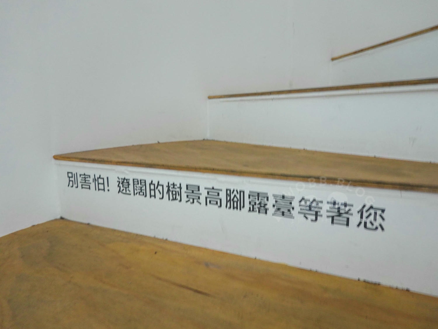 南投|樹德半山夢工廠》南投最大收納工廠!10層樓生命樹環樹步道,VR互動設施、攀岩高空垂降,一站式吃喝玩樂,有吃有逛有得玩,南投一日遊! - 第87張圖