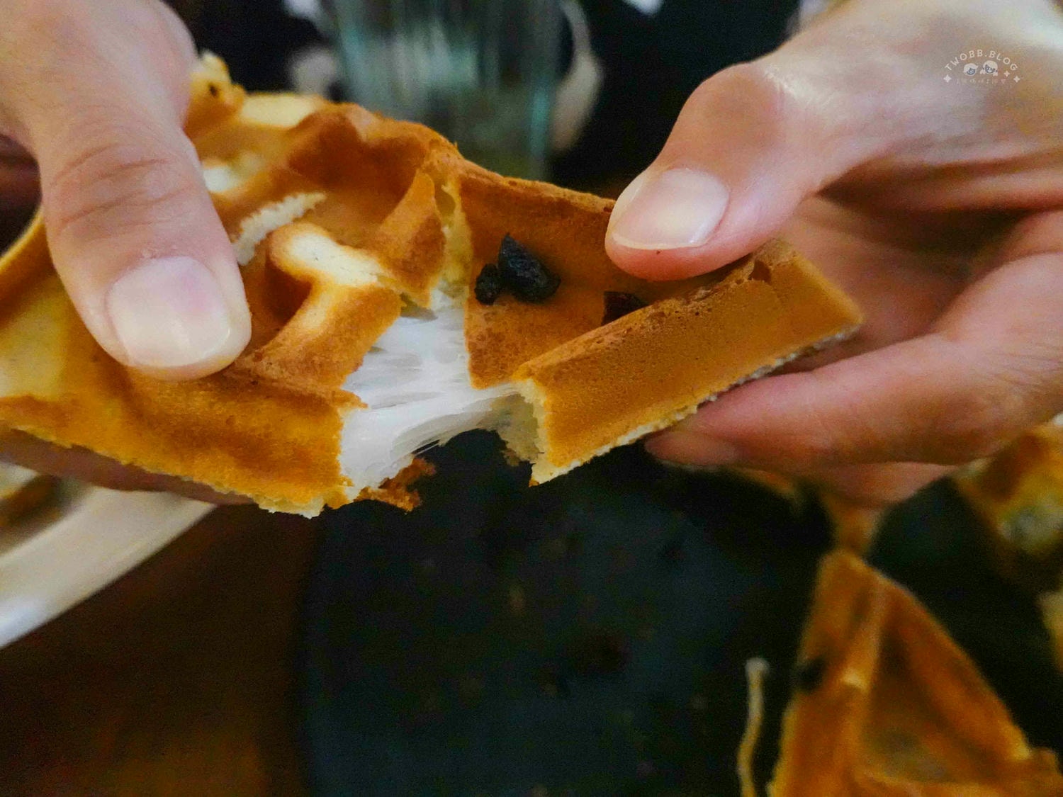 台北|呼嚕小酒館》寵物友善!台北餐酒館推薦,政大美食,露營風城市小秘境,異國美食特色調酒。 - 第50張圖
