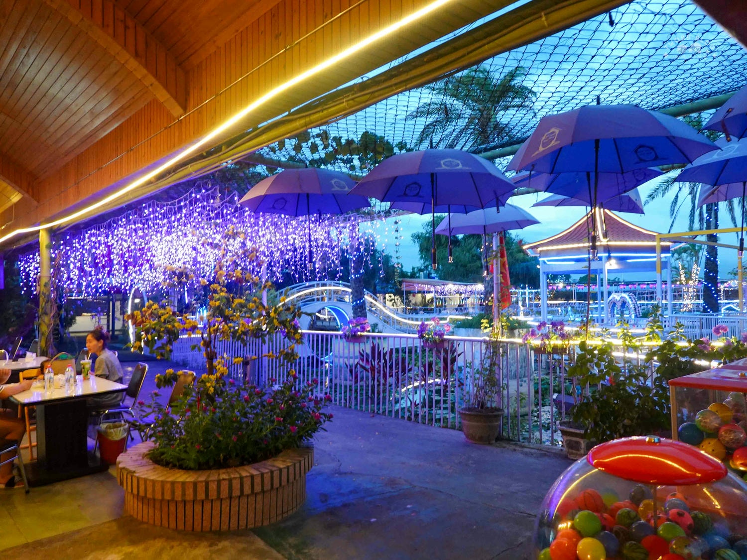 台南|紫色水漾越南休閒村》台南新景點(原鱷魚王蓮花休閒村)!寵物友善,消費不限時間,正宗越式料理、越式烤肉,越南服裝免費租借,大片蓮花池紫色夢幻造景。 - 第66張圖