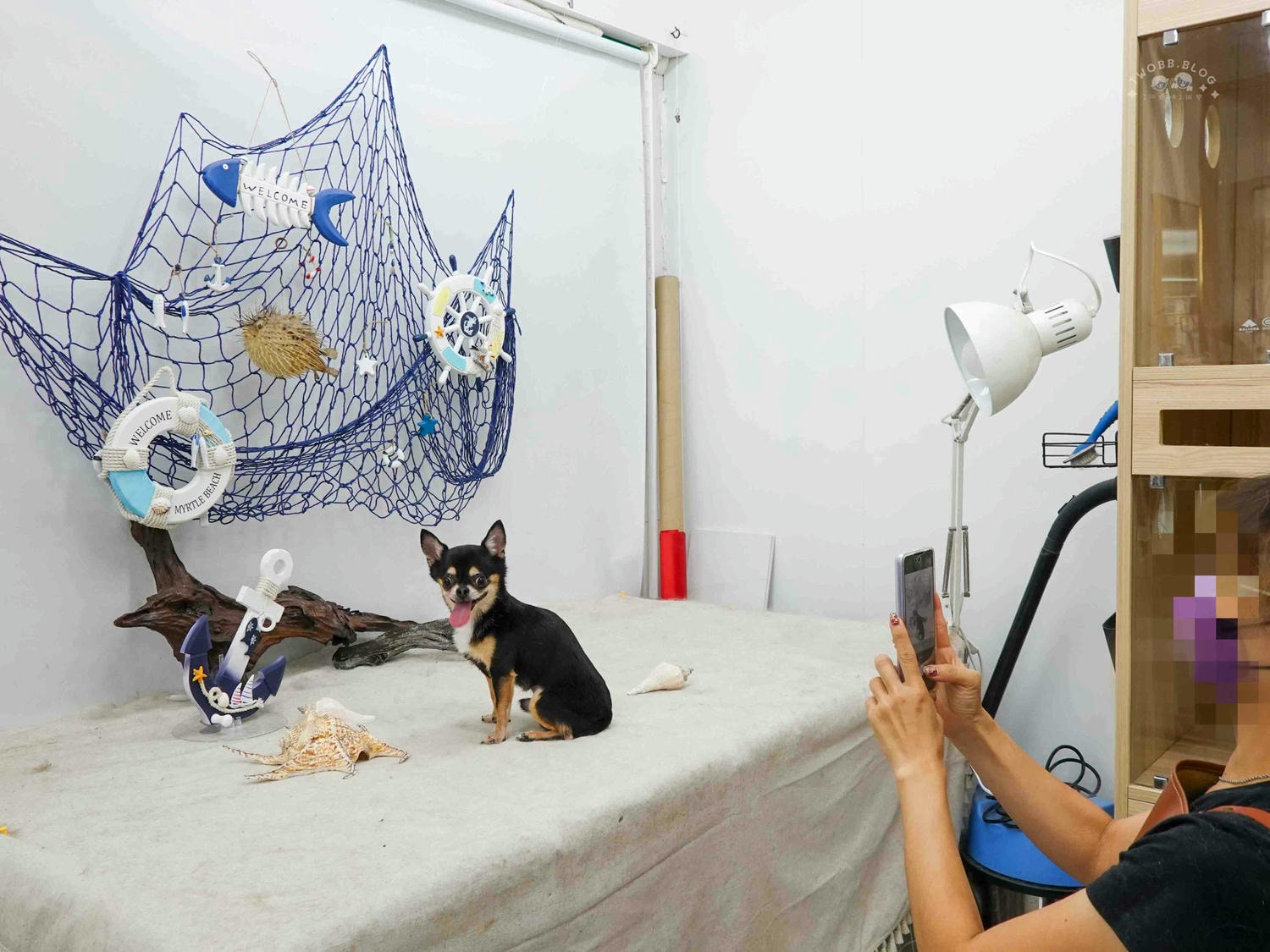 台中|大心寵物美容館》台中寵物美容館推薦!鄰近大甲鎮瀾宮,細心專業,獨立開放空間不關籠,飼主好安心。 - 第43張圖