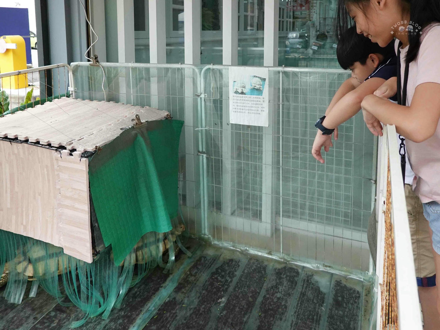 台中|大心寵物美容館》台中寵物美容館推薦!鄰近大甲鎮瀾宮,細心專業,獨立開放空間不關籠,飼主好安心。 - 第7張圖 大心寵物美容館