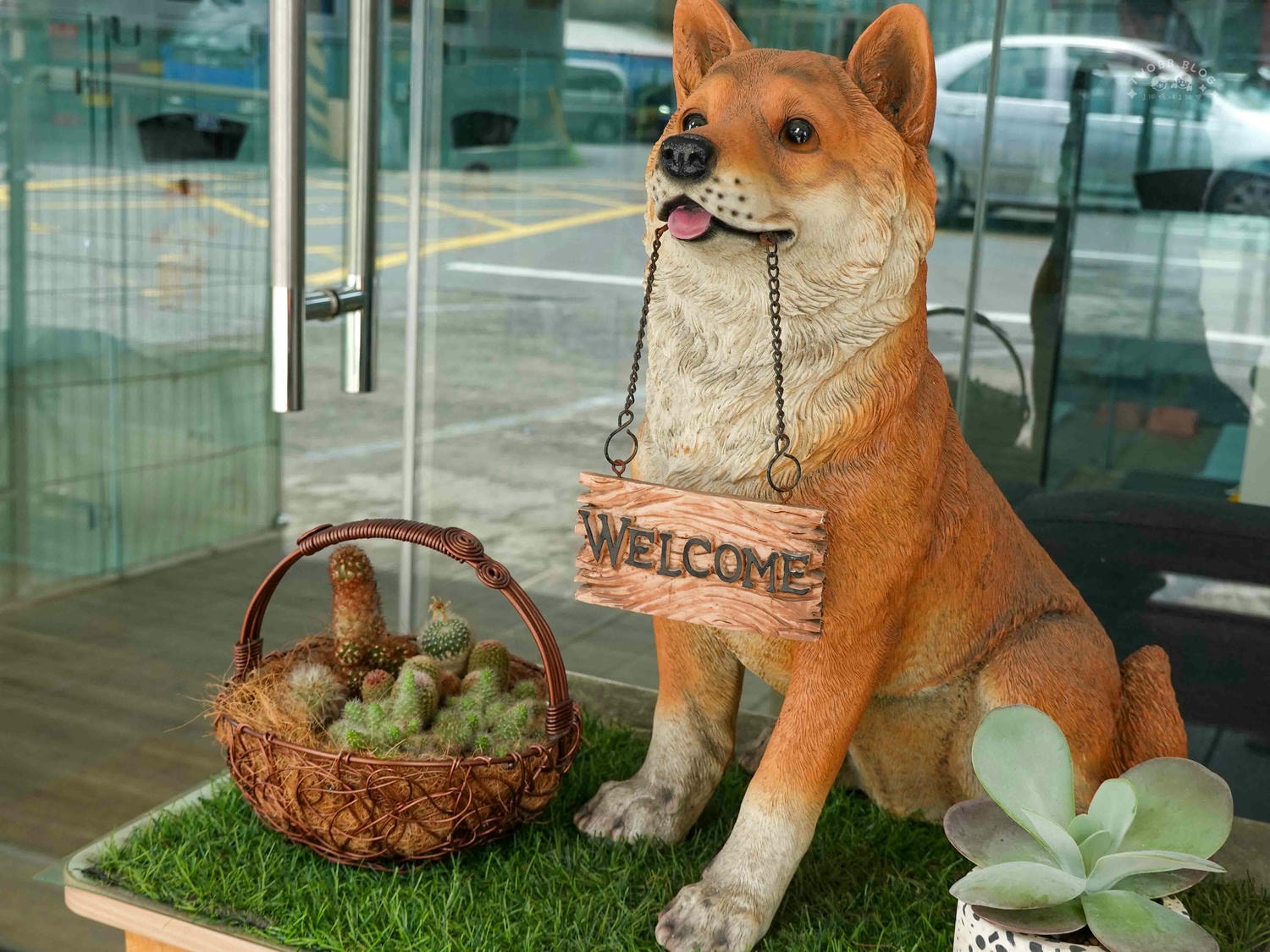 台中|大心寵物美容館》台中寵物美容館推薦!鄰近大甲鎮瀾宮,細心專業,獨立開放空間不關籠,飼主好安心。 - 第6張圖
