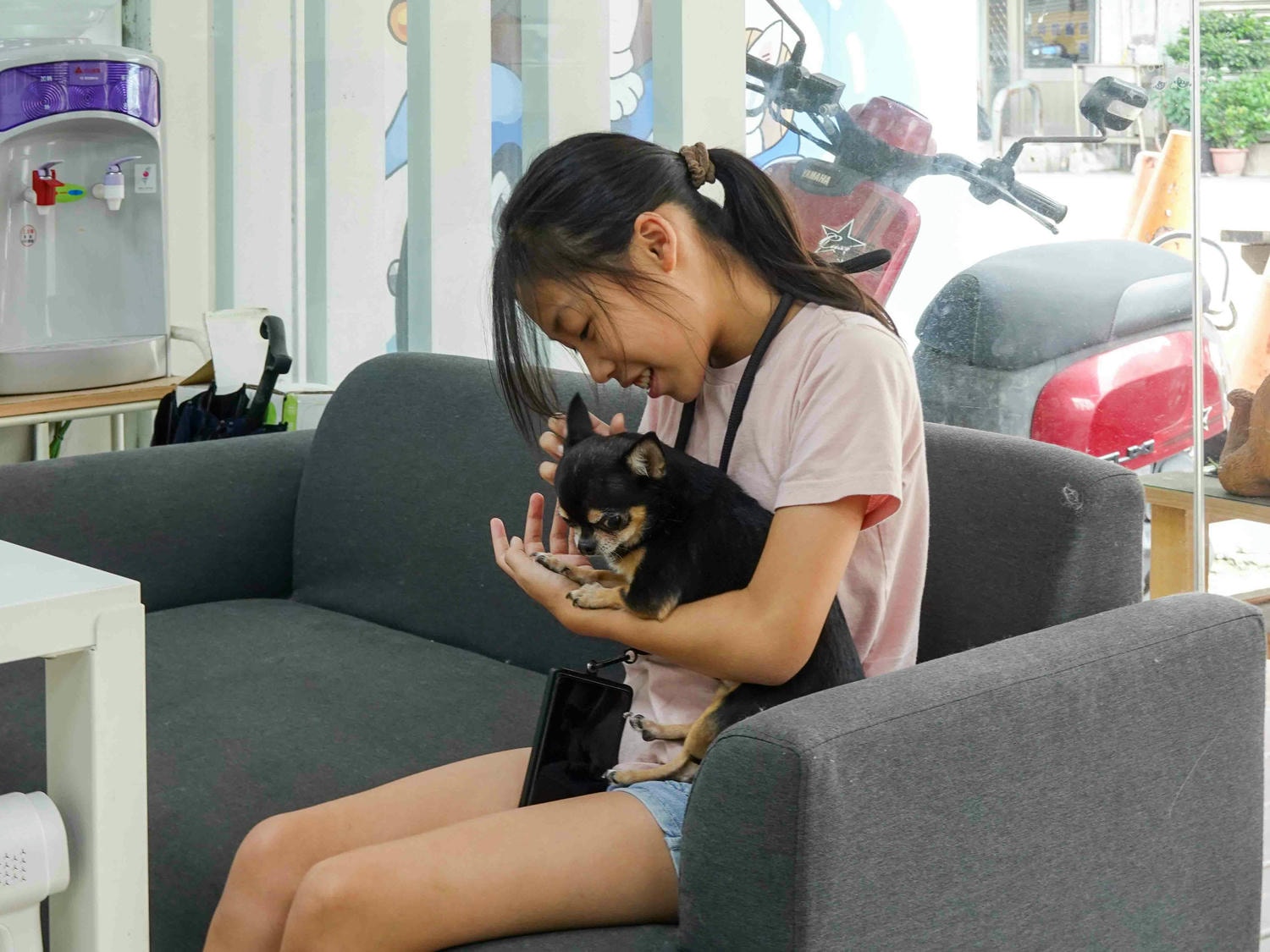 台中|大心寵物美容館》台中寵物美容館推薦!鄰近大甲鎮瀾宮,細心專業,獨立開放空間不關籠,飼主好安心。 - 第18張圖