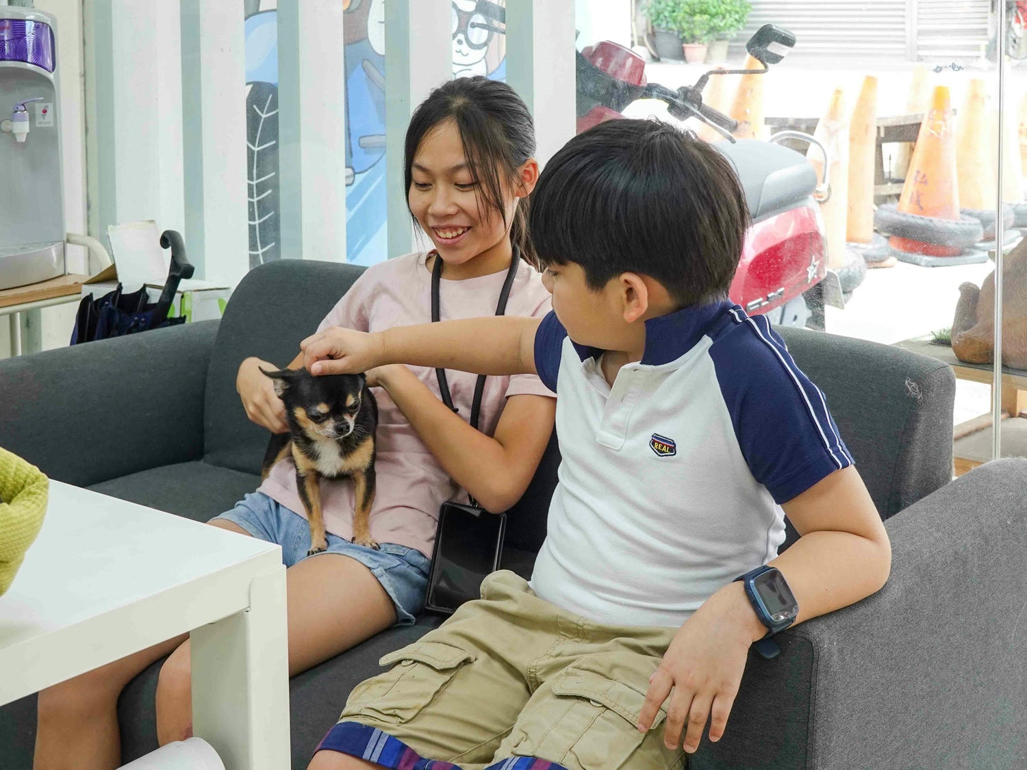 台中|大心寵物美容館》台中寵物美容館推薦!鄰近大甲鎮瀾宮,細心專業,獨立開放空間不關籠,飼主好安心。 - 第17張圖