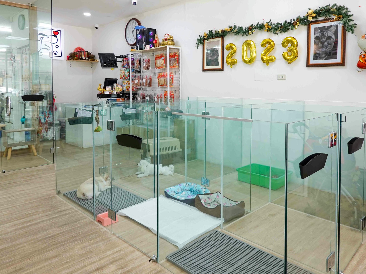 台中|大心寵物美容館》台中寵物美容館推薦!鄰近大甲鎮瀾宮,細心專業,獨立開放空間不關籠,飼主好安心。 - 第16張圖
