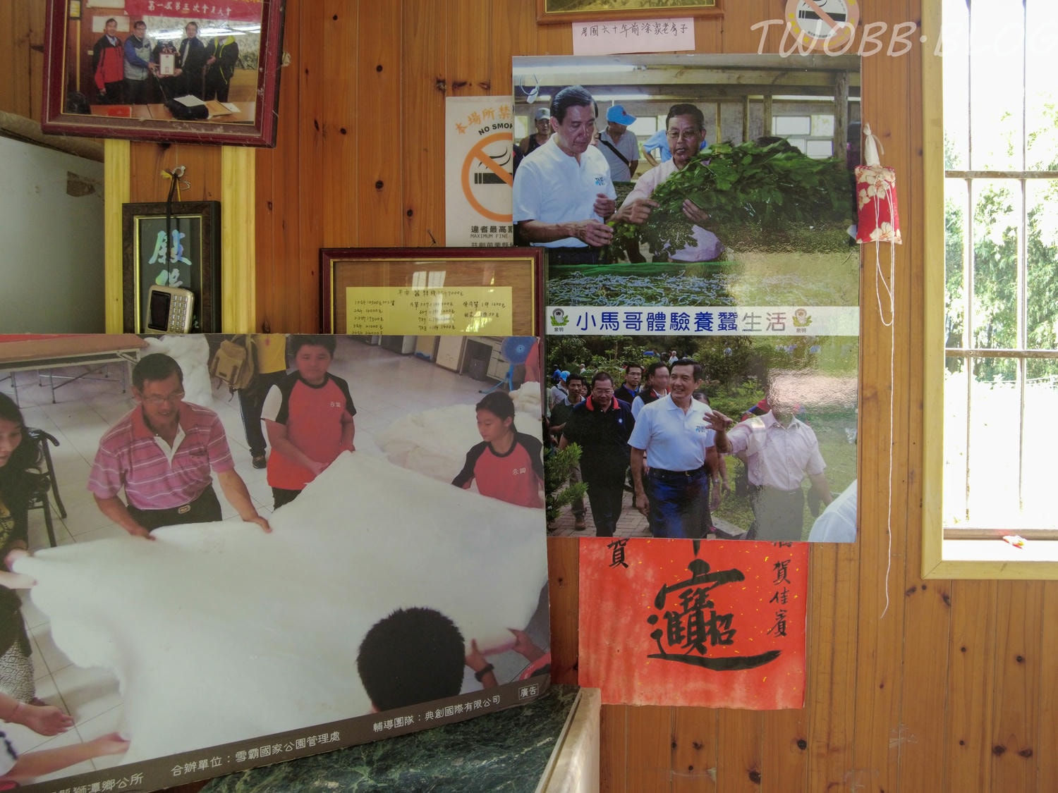 苗栗|泉明生態教育蠶業農場》銅板價門票,全台僅存的蠶業養殖場,進入蠶寶寶的世界,帶蠶絲帽,一睹蠶寶寶吐絲全記錄。 - 第19張圖