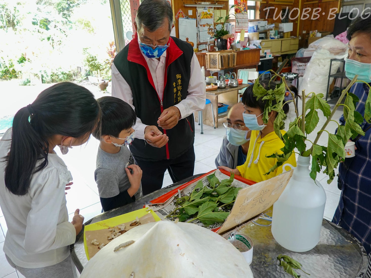 苗栗|泉明生態教育蠶業農場》銅板價門票,全台僅存的蠶業養殖場,進入蠶寶寶的世界,帶蠶絲帽,一睹蠶寶寶吐絲全記錄。 - 第12張圖