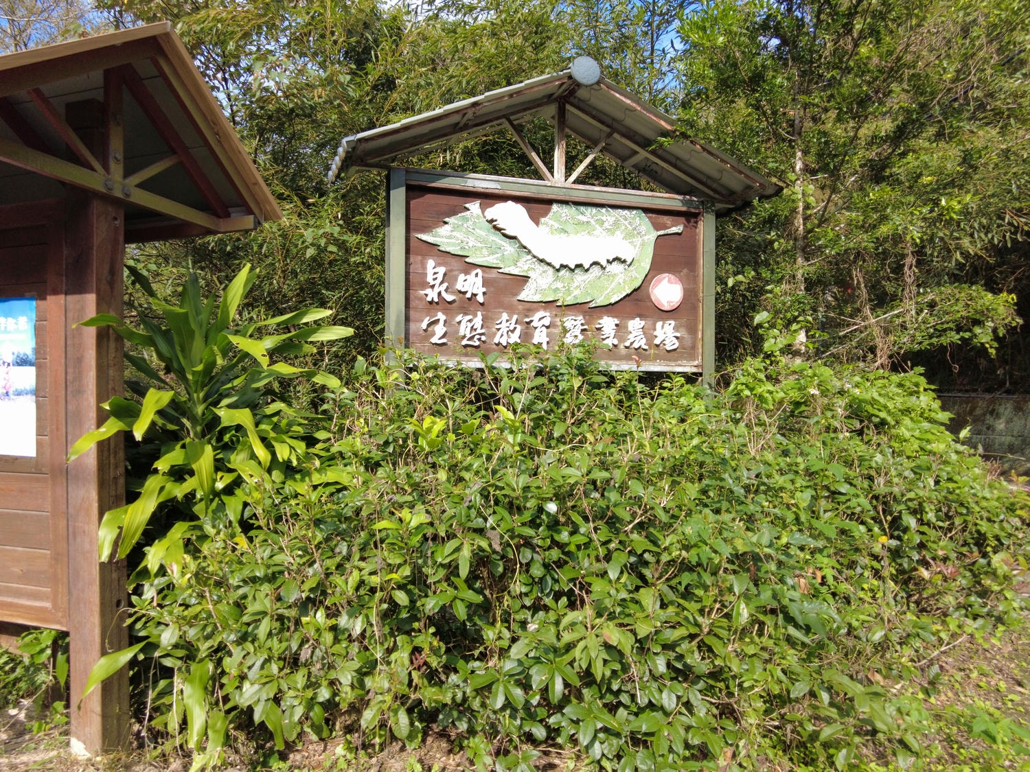 苗栗|泉明生態教育蠶業農場》銅板價門票,全台僅存的蠶業養殖場,進入蠶寶寶的世界,帶蠶絲帽,一睹蠶寶寶吐絲全記錄。 - 第8張圖