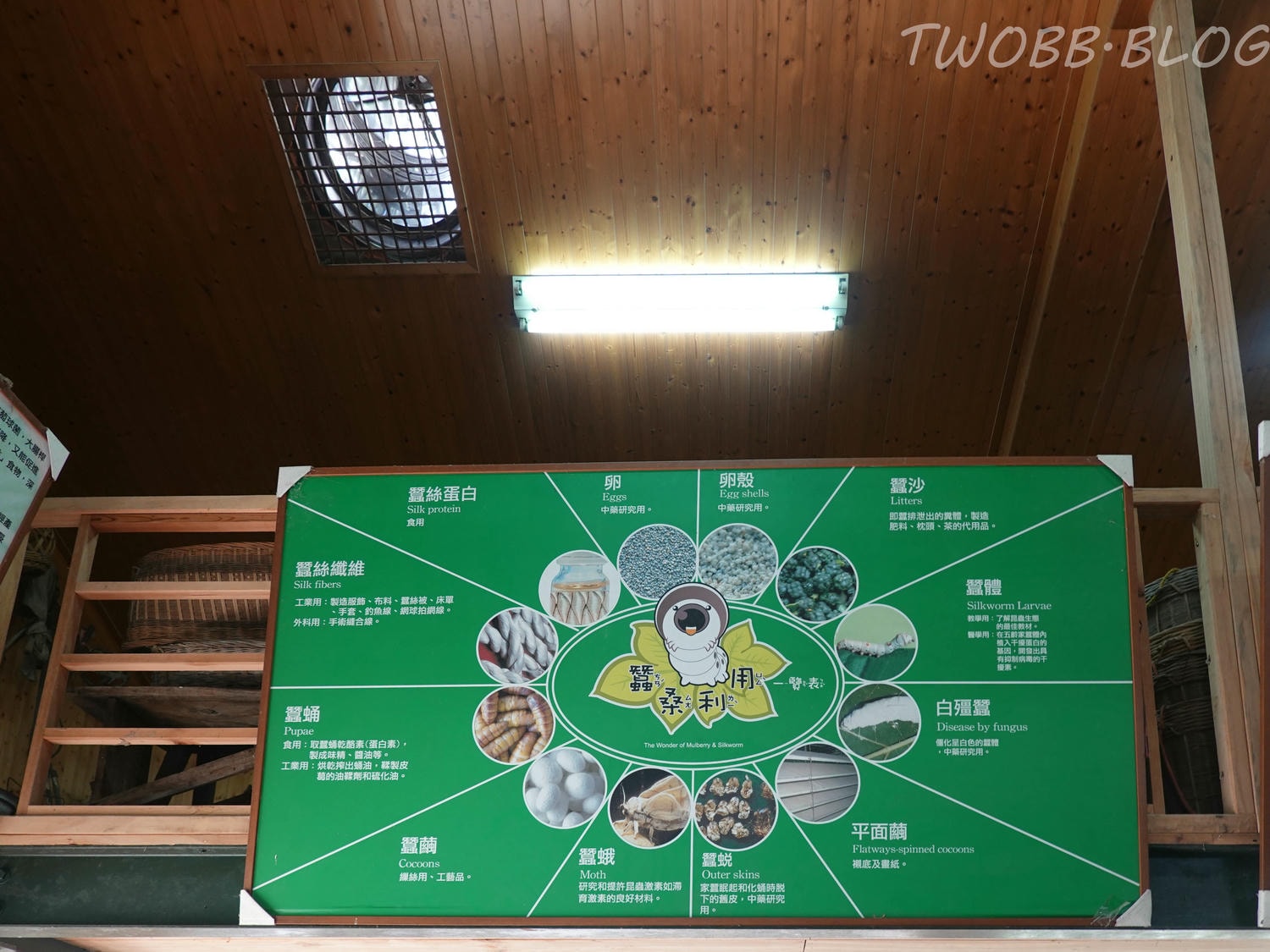 苗栗|泉明生態教育蠶業農場》銅板價門票,全台僅存的蠶業養殖場,進入蠶寶寶的世界,帶蠶絲帽,一睹蠶寶寶吐絲全記錄。 - 第23張圖