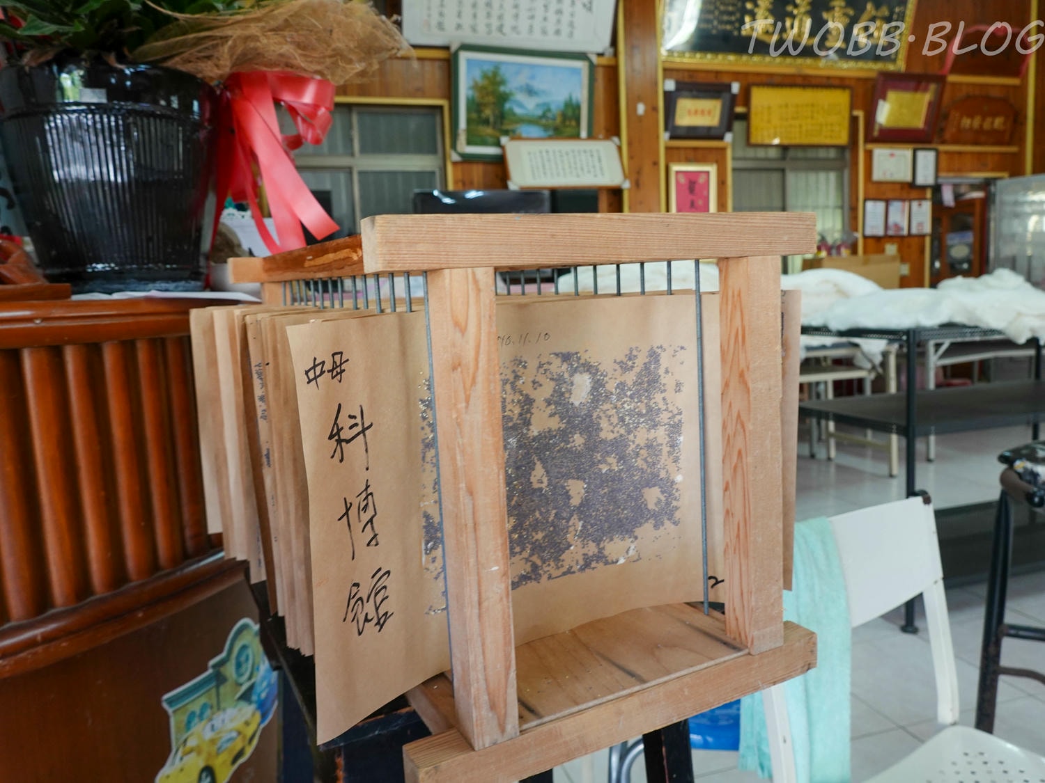 苗栗|泉明生態教育蠶業農場》銅板價門票,全台僅存的蠶業養殖場,進入蠶寶寶的世界,帶蠶絲帽,一睹蠶寶寶吐絲全記錄。 - 第29張圖