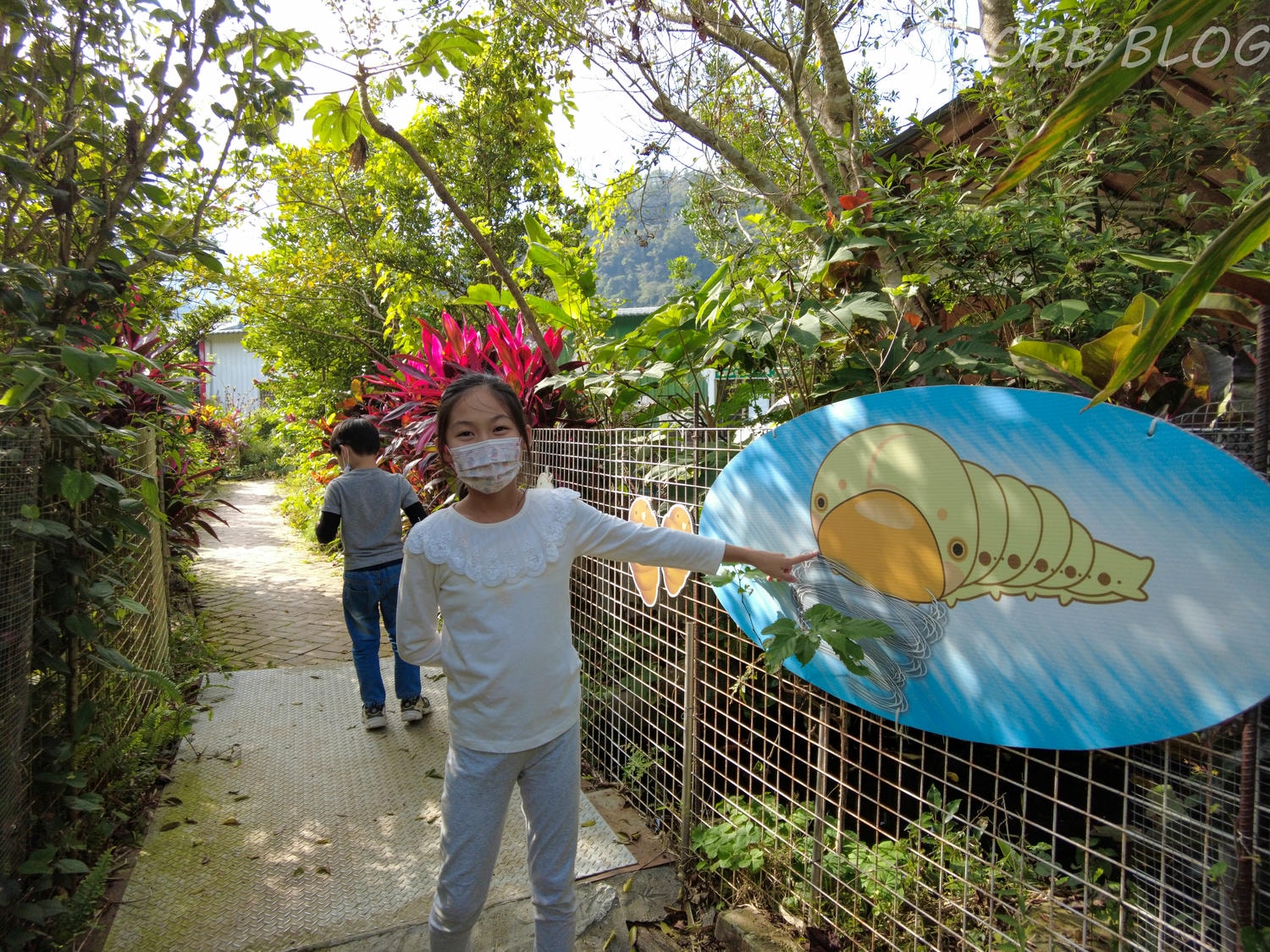 苗栗|泉明生態教育蠶業農場》銅板價門票,全台僅存的蠶業養殖場,進入蠶寶寶的世界,帶蠶絲帽,一睹蠶寶寶吐絲全記錄。 - 第10張圖
