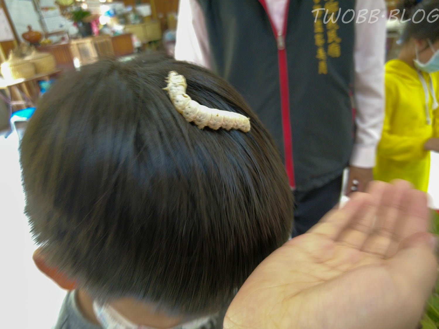 苗栗|泉明生態教育蠶業農場》銅板價門票,全台僅存的蠶業養殖場,進入蠶寶寶的世界,帶蠶絲帽,一睹蠶寶寶吐絲全記錄。 - 第14張圖