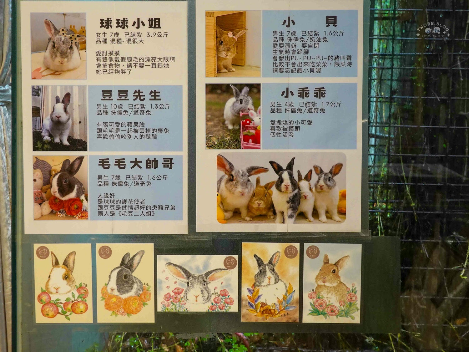 台中|綠萼159 地中海南法料理》台中北屯美食推薦,可包場!寵物友善、親子友善餐廳,絕美歐式餐廳,還有超萌兔兔駐店。 - 第83張圖