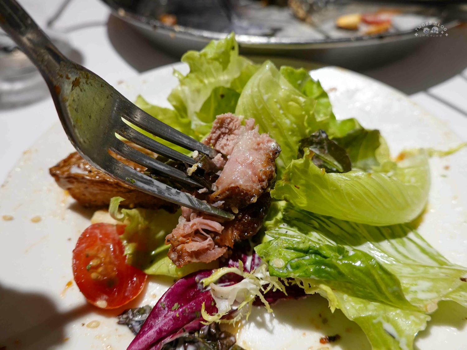 台中|綠萼159 地中海南法料理》台中北屯美食推薦,可包場!寵物友善、親子友善餐廳,絕美歐式餐廳,還有超萌兔兔駐店。 - 第67張圖
