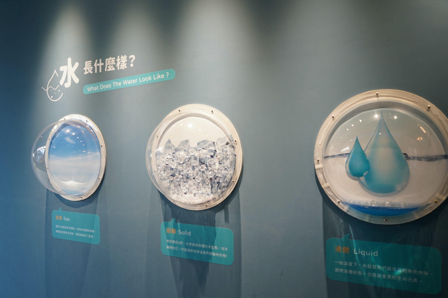 彰化水銡利 (14)