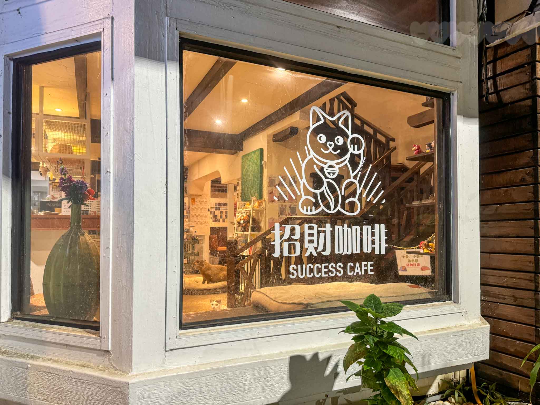 新竹|招財咖啡》新竹水豚咖啡廳!老屋改造貓咪咖啡廳,鄰近新竹火車站,有水豚、貓咪圍繞親密接觸。 - 第12張圖 招財咖啡 (3)