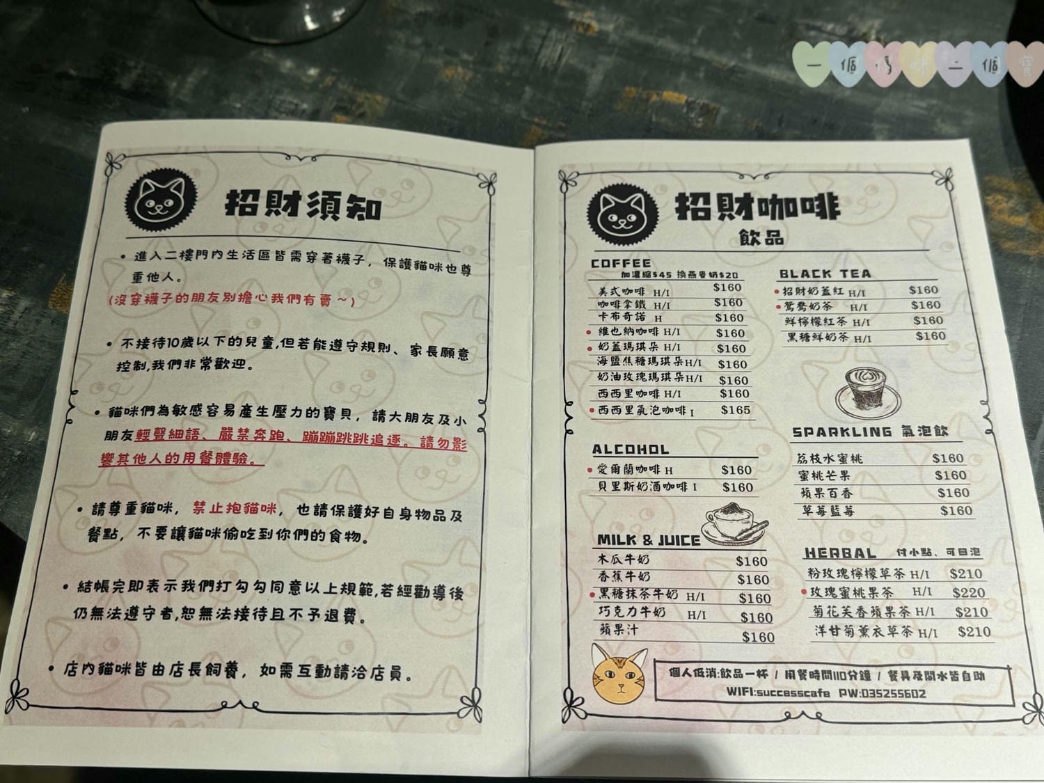 新竹|招財咖啡》新竹水豚咖啡廳!老屋改造貓咪咖啡廳,鄰近新竹火車站,有水豚、貓咪圍繞親密接觸。 - 第8張圖 招財咖啡 (32)