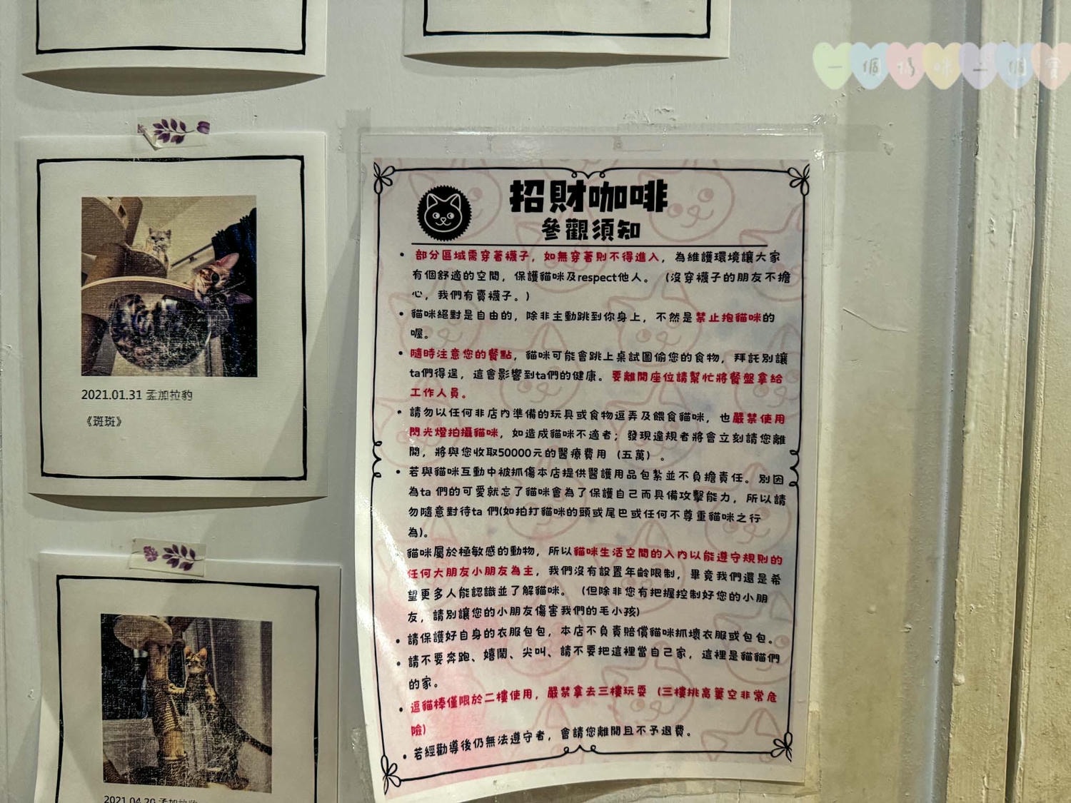 新竹|招財咖啡》新竹水豚咖啡廳!老屋改造貓咪咖啡廳,鄰近新竹火車站,有水豚、貓咪圍繞親密接觸。 - 第21張圖 招財咖啡 (47)