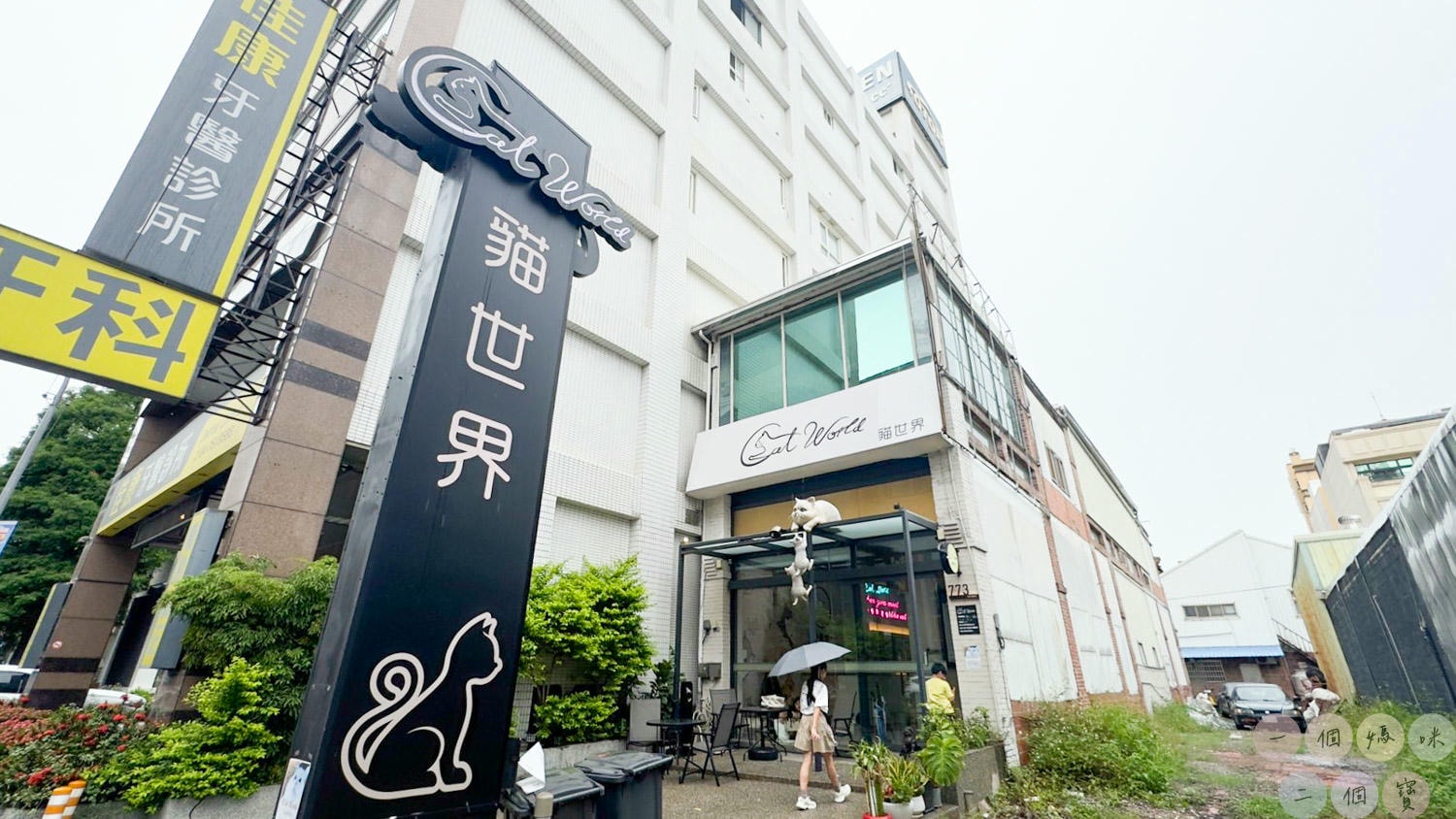 彰化|Cat World 貓世界》貓奴最愛的咖啡廳,將近五十隻品種貓親密互動,與貓咪享受下午茶時光! - 第2張圖 貓世界 (1)