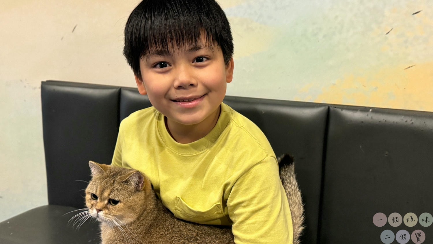 彰化|Cat World 貓世界》貓奴最愛的咖啡廳,將近五十隻品種貓親密互動,與貓咪享受下午茶時光! - 第27張圖 貓世界 (28)
