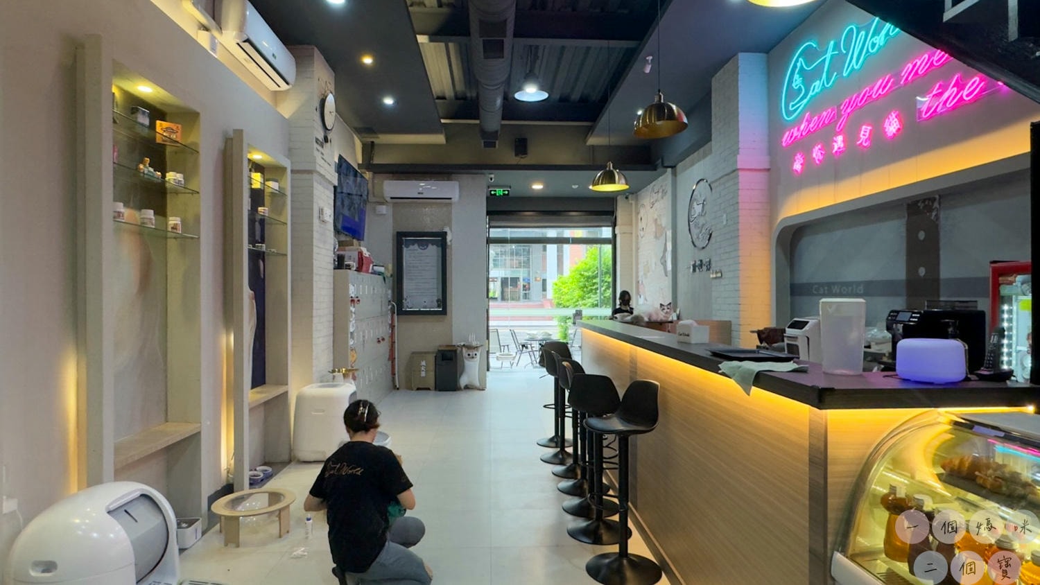 彰化|Cat World 貓世界》貓奴最愛的咖啡廳,將近五十隻品種貓親密互動,與貓咪享受下午茶時光! - 第5張圖 貓世界 (37)