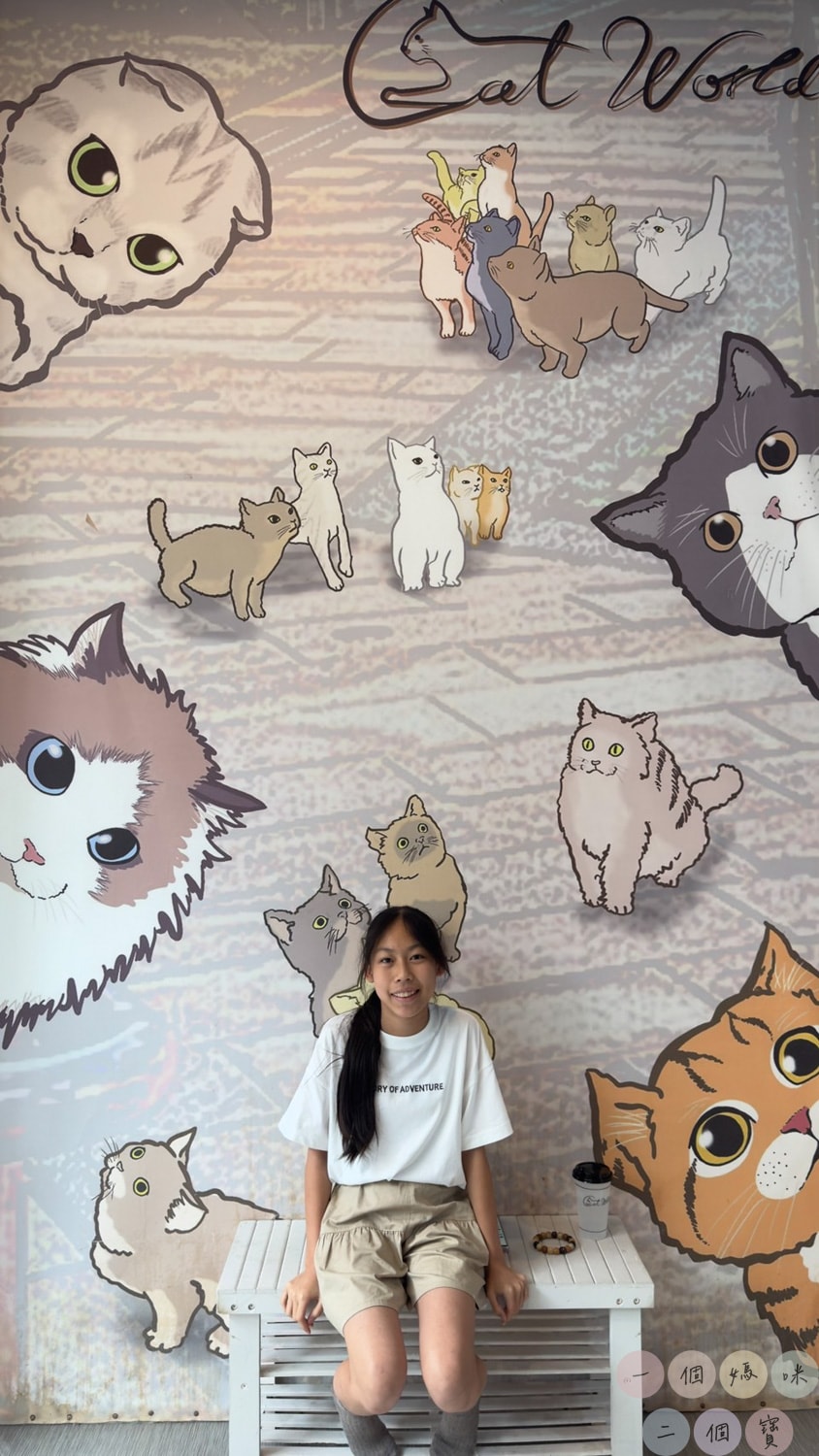 彰化|Cat World 貓世界》貓奴最愛的咖啡廳,將近五十隻品種貓親密互動,與貓咪享受下午茶時光! - 第4張圖 Cat World 貓世界
