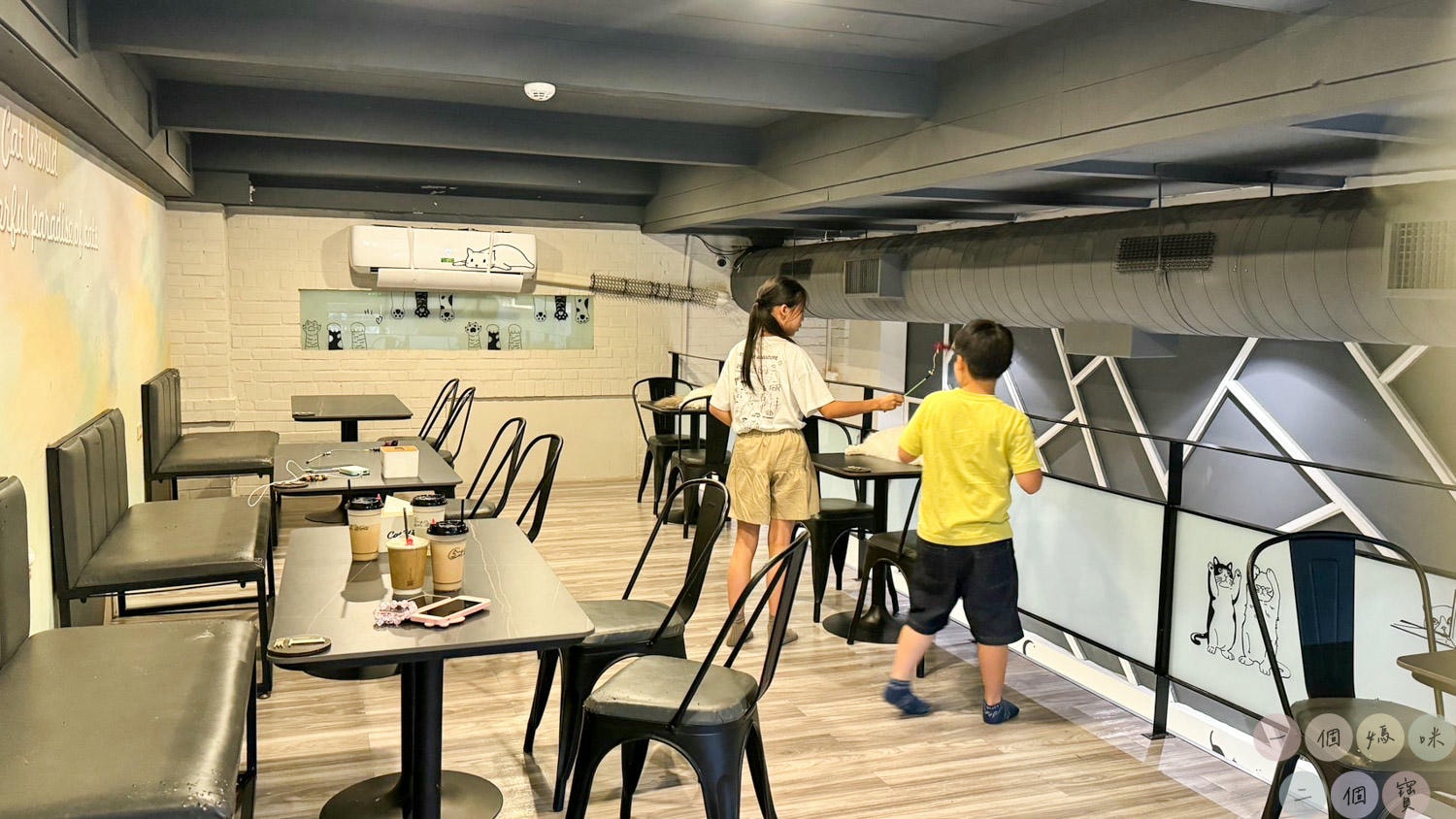 彰化|Cat World 貓世界》貓奴最愛的咖啡廳,將近五十隻品種貓親密互動,與貓咪享受下午茶時光! - 第12張圖 貓世界 (59)