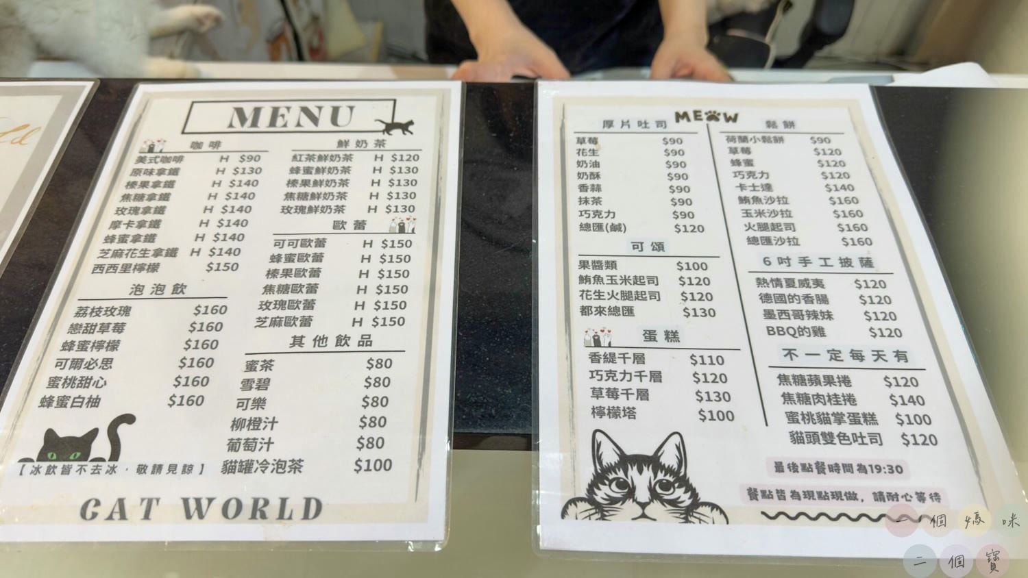 彰化|Cat World 貓世界》貓奴最愛的咖啡廳,將近五十隻品種貓親密互動,與貓咪享受下午茶時光! - 第33張圖 貓世界 (63)