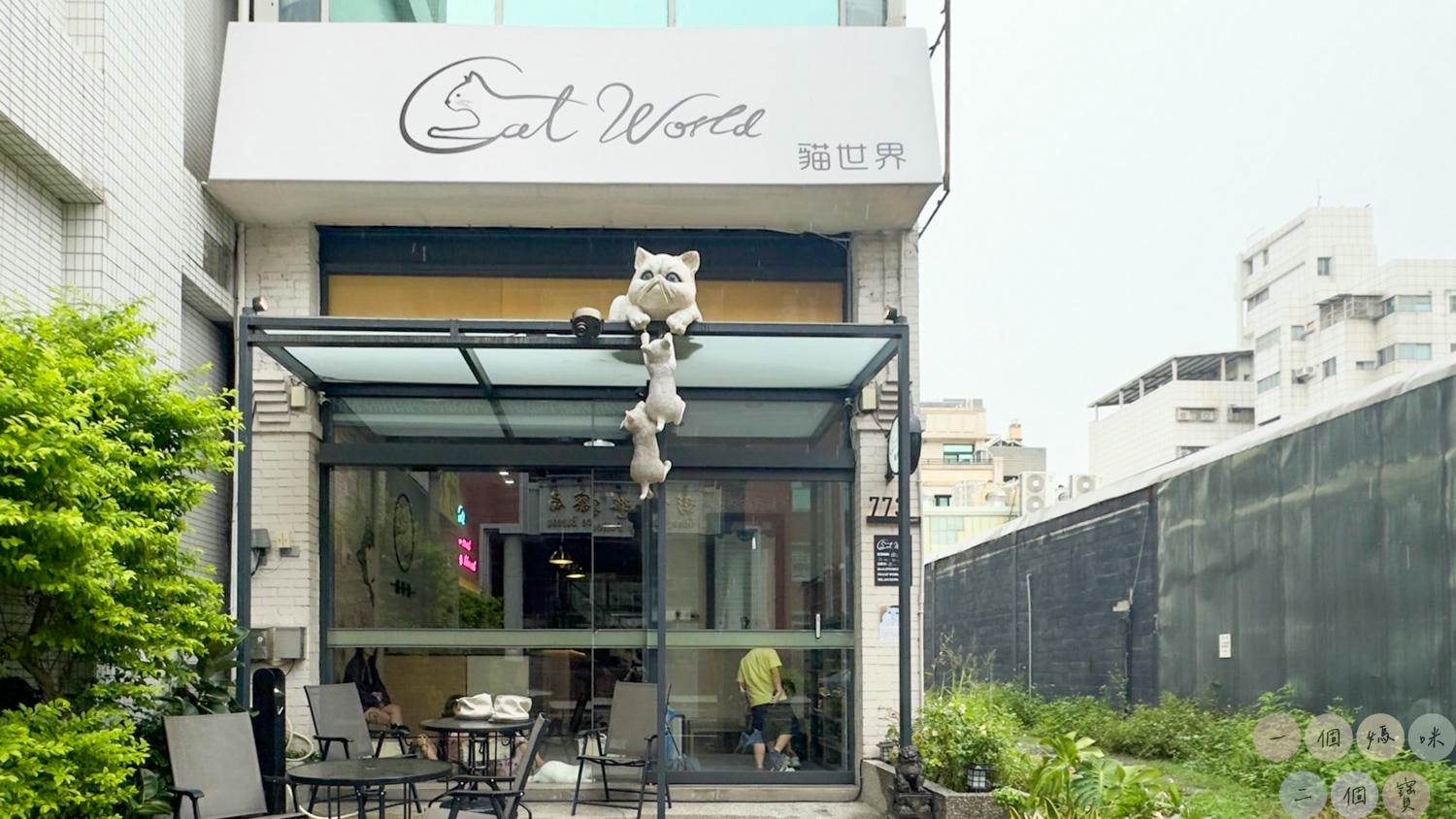 彰化|Cat World 貓世界》貓奴最愛的咖啡廳,將近五十隻品種貓親密互動,與貓咪享受下午茶時光! - 第3張圖 Cat World 貓世界