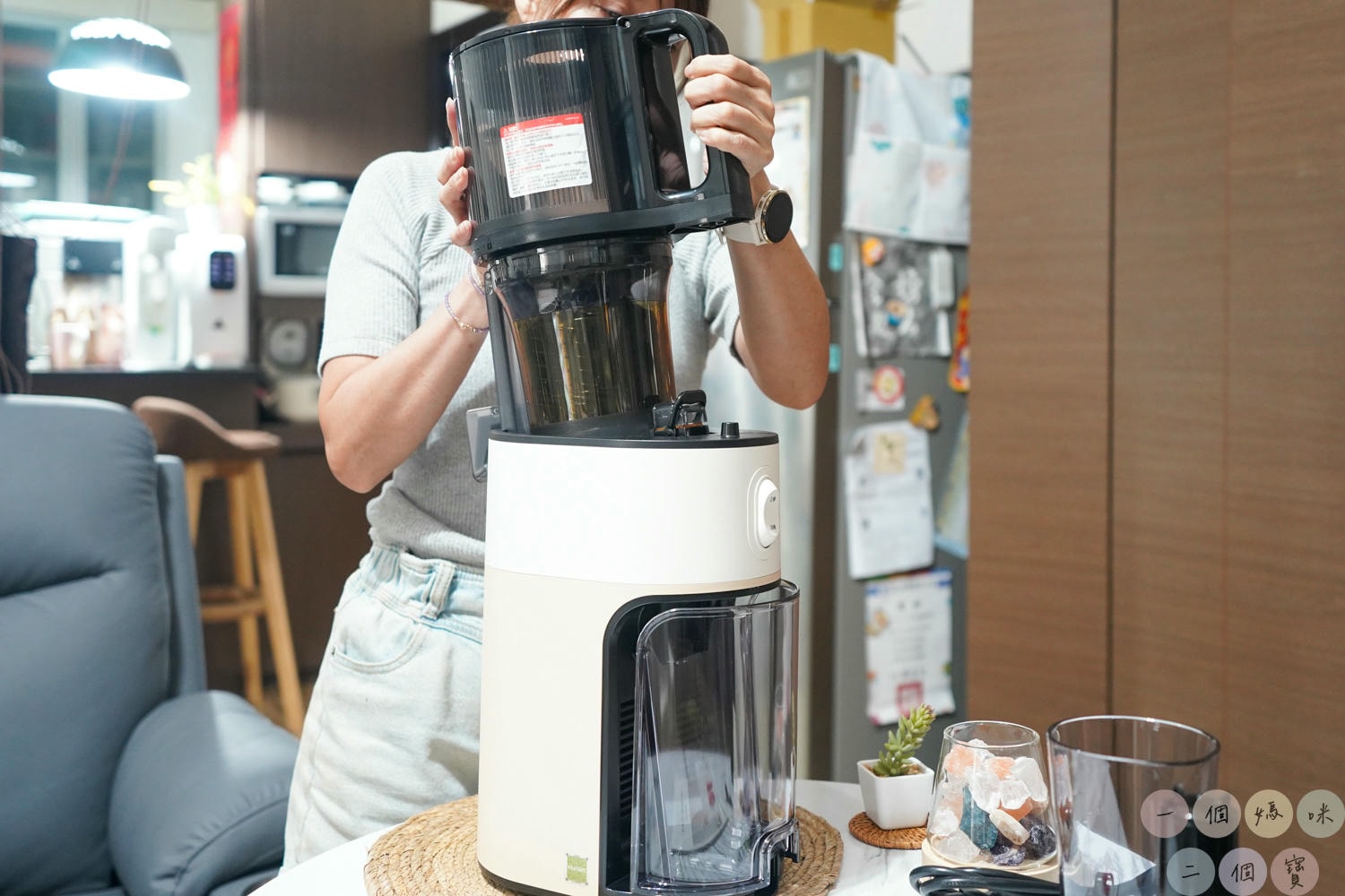 韓國hurom H 420 慢磨蔬果機 (12)