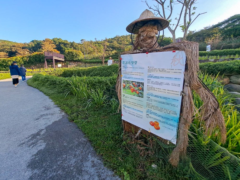 大有梯田生態公園 (30)
