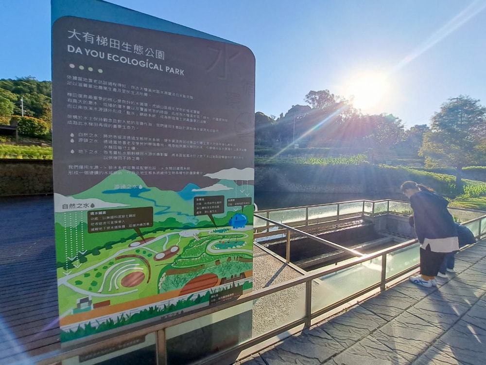 大有梯田生態公園 (33)