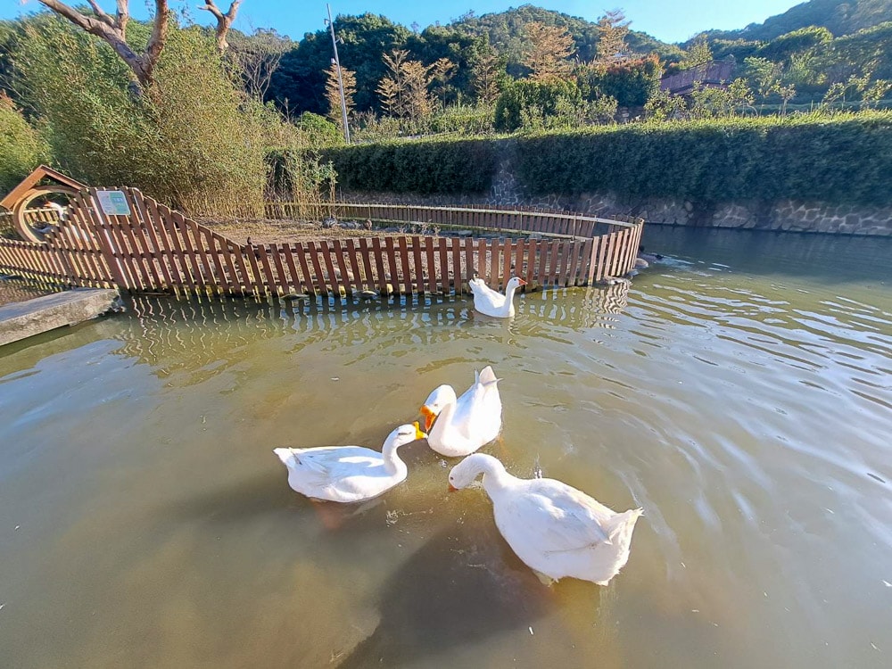 大有梯田生態公園 (34)