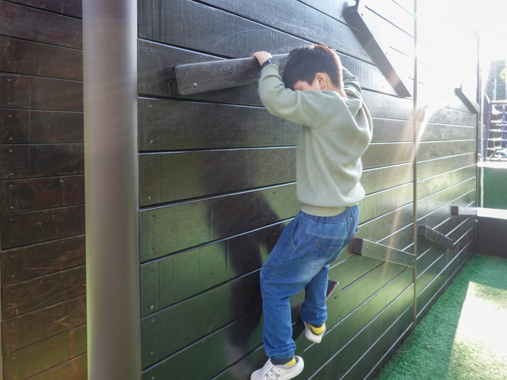 大有梯田生態公園 (52)