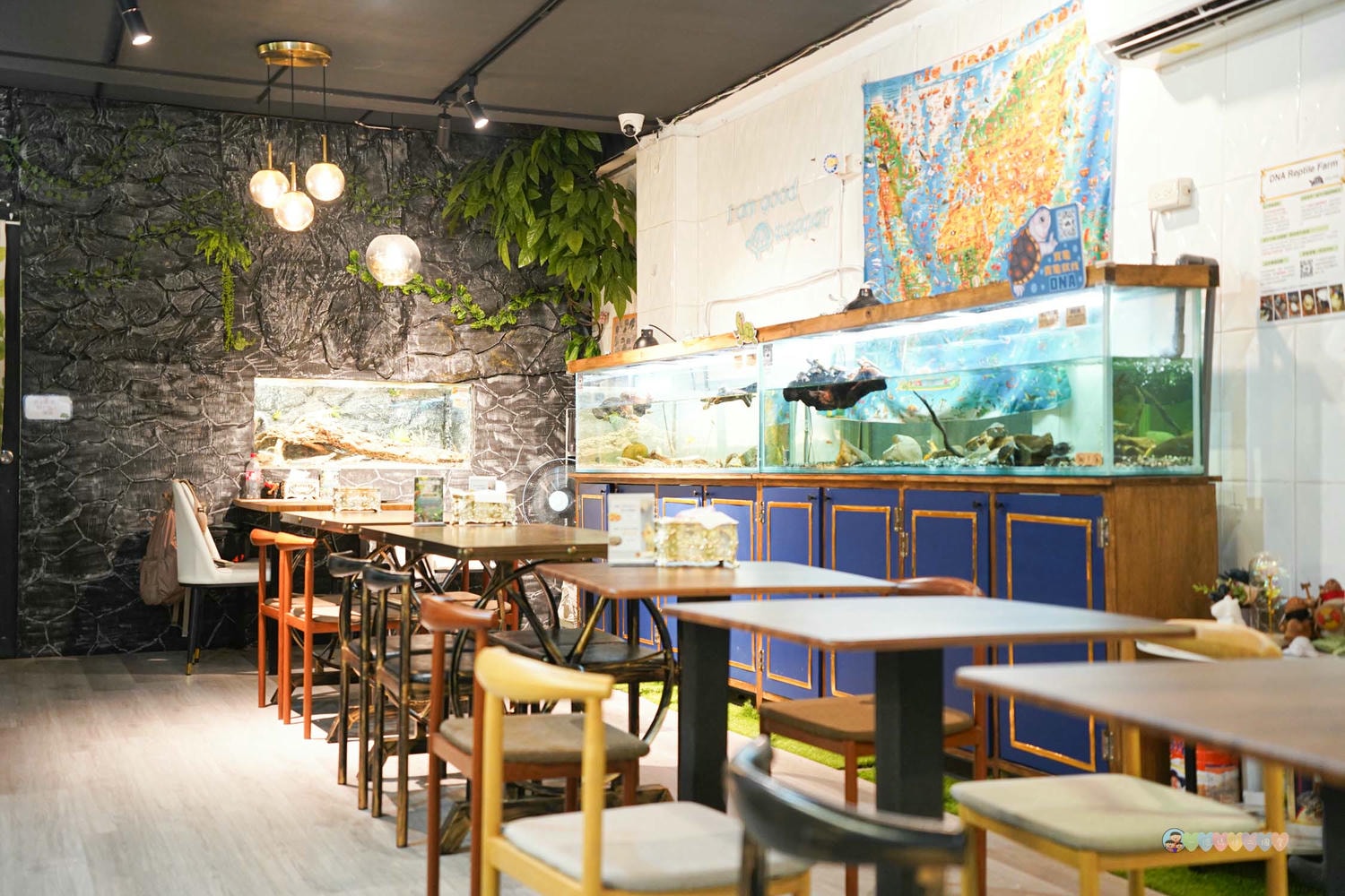 胖鬣蜥城市特寵餐廳 (19)