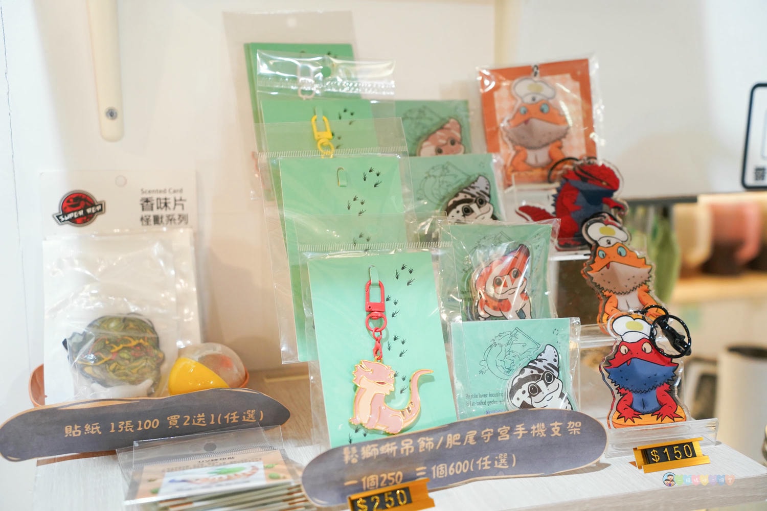 胖鬣蜥城市特寵餐廳 (20)