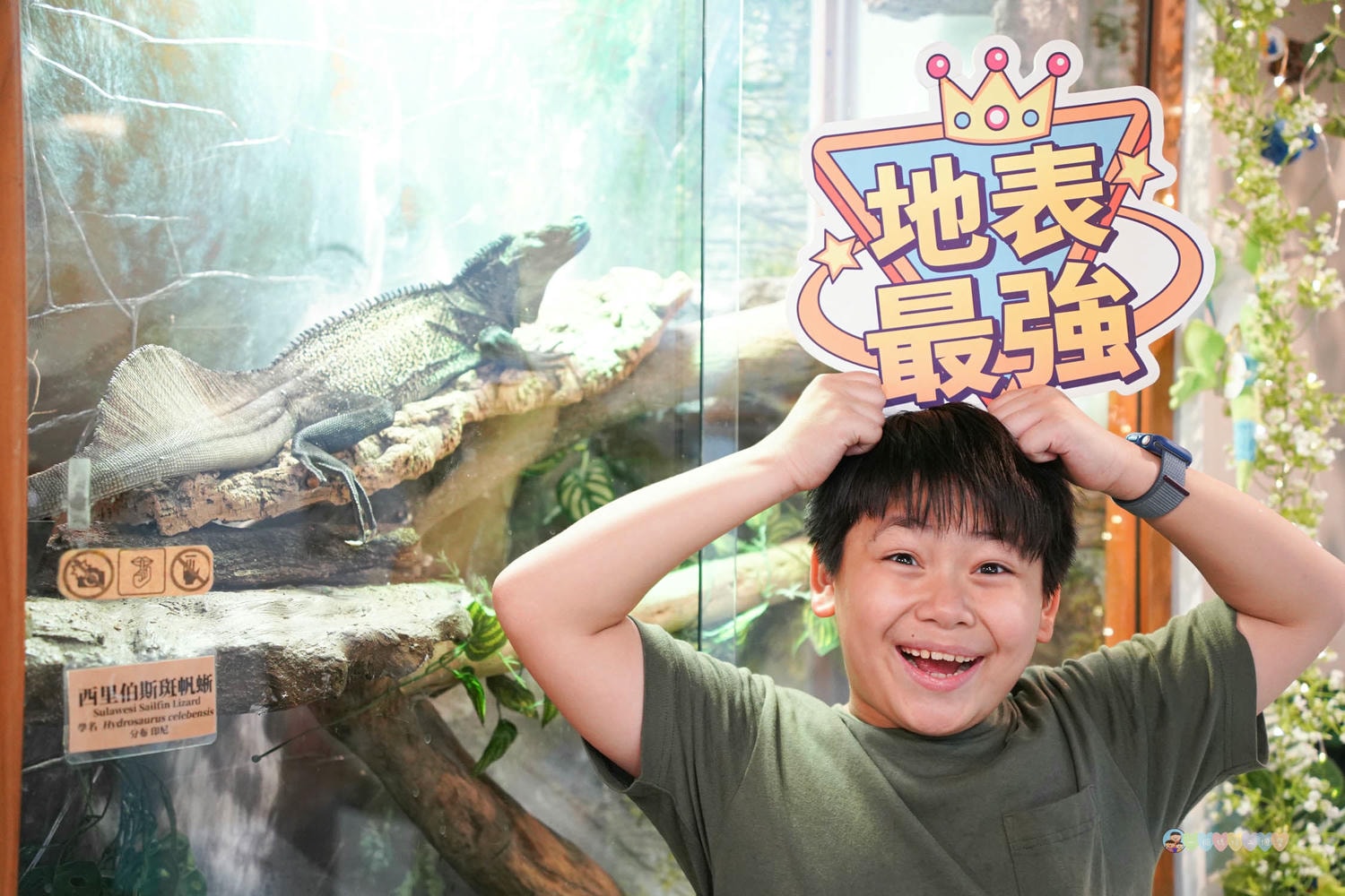 胖鬣蜥城市特寵餐廳 (32)