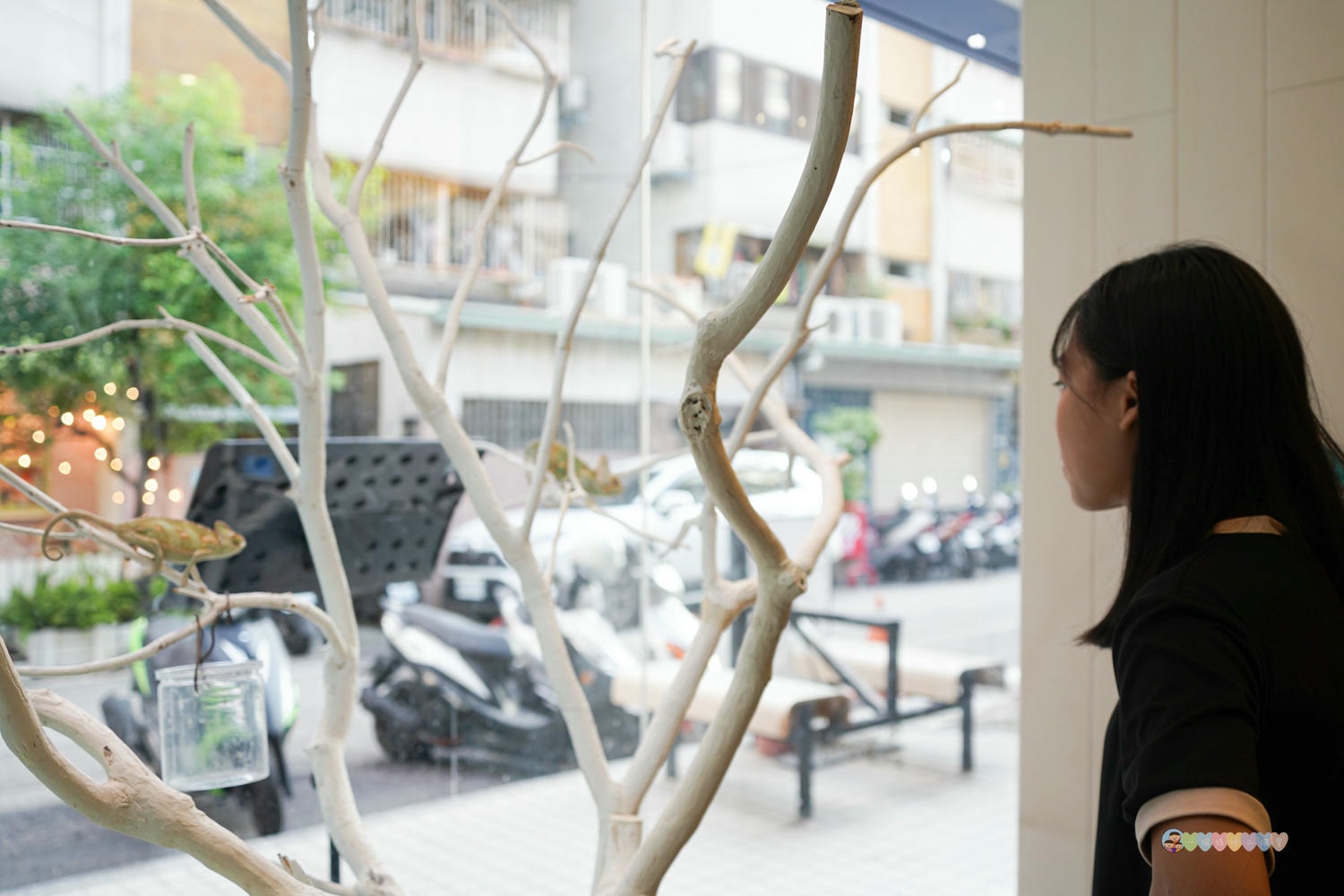 胖鬣蜥城市特寵餐廳 (4)