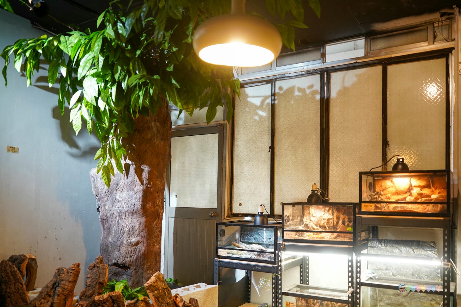 胖鬣蜥城市特寵餐廳 (40)