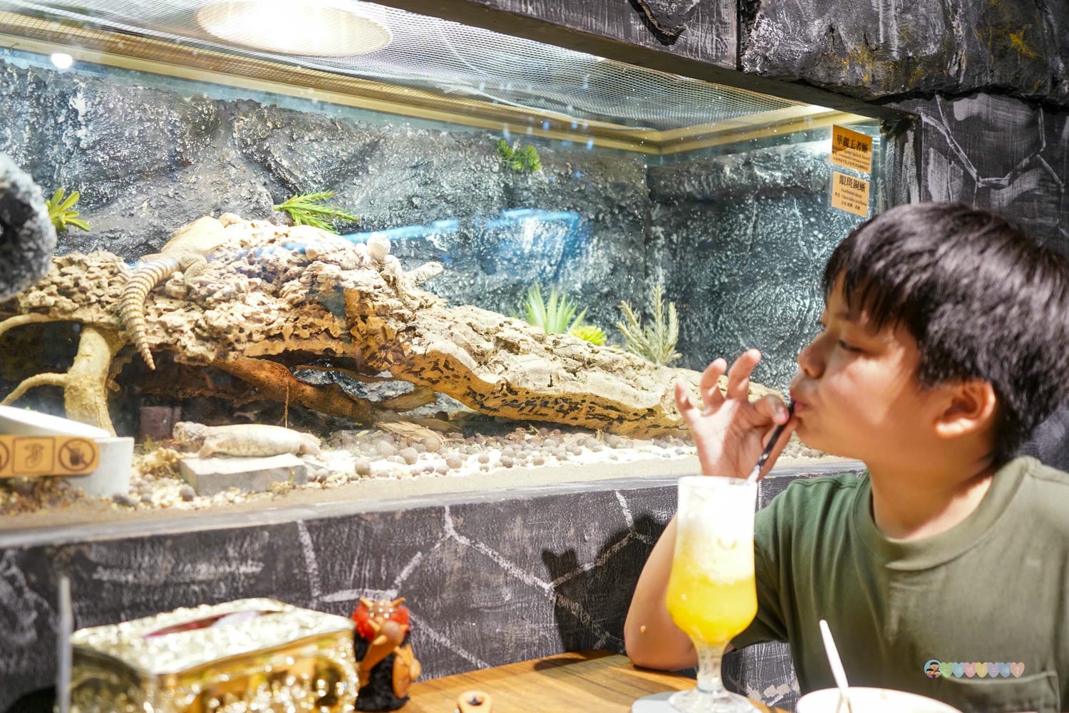 胖鬣蜥城市特寵餐廳 (71)