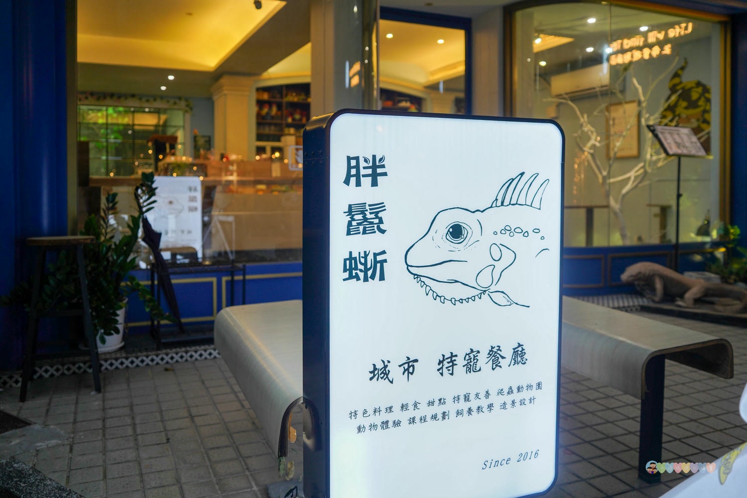胖鬣蜥城市特寵餐廳 (79)
