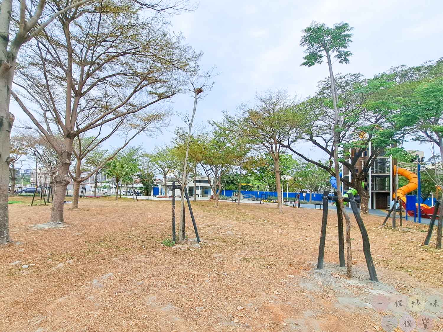 大鮪魚航海樂園 (25)