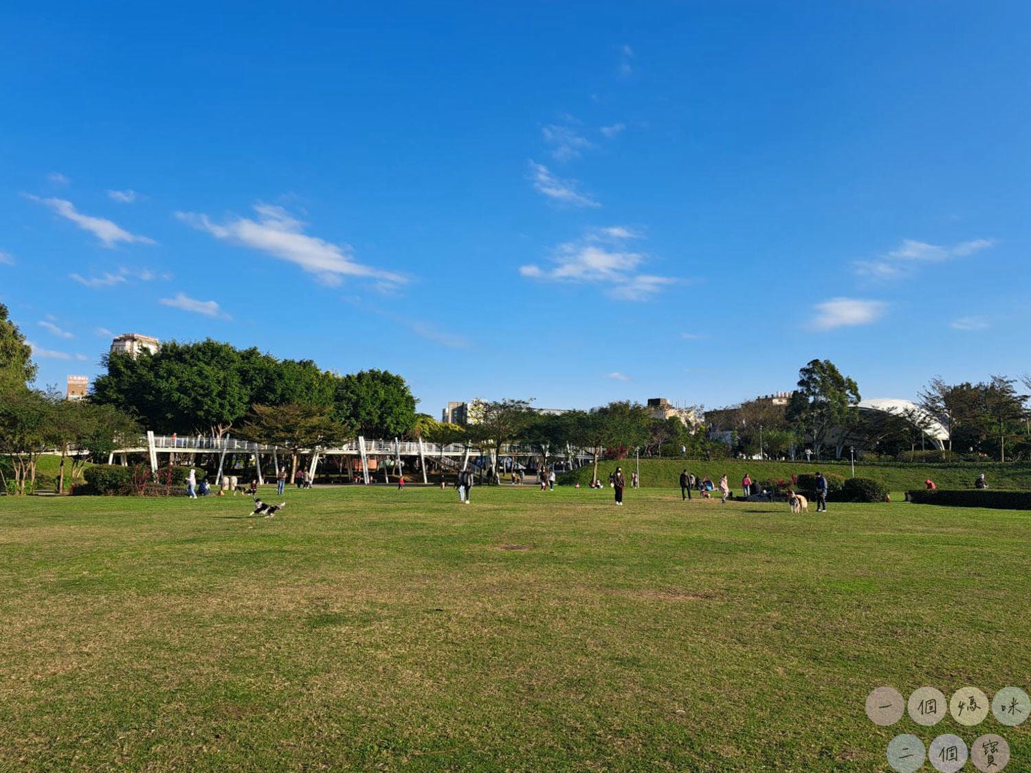 桃園|新勢公園》平鎮共融兒童遊戲場,海洋主題溜滑梯,超大沙坑、旋轉飛椅、攀岩極限運動場,無敵大草坪遛狗放風。 - 第28張圖 新勢公園 (5)