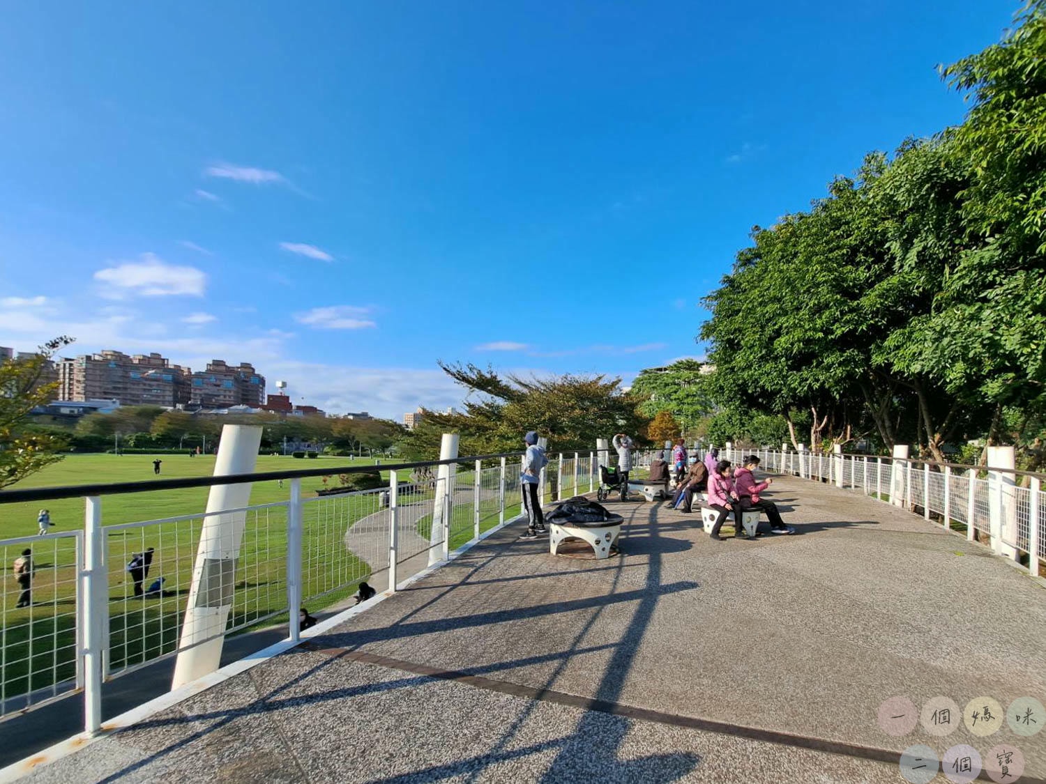 桃園|新勢公園》平鎮共融兒童遊戲場,海洋主題溜滑梯,超大沙坑、旋轉飛椅、攀岩極限運動場,無敵大草坪遛狗放風。 - 第27張圖 新勢公園 (6)
