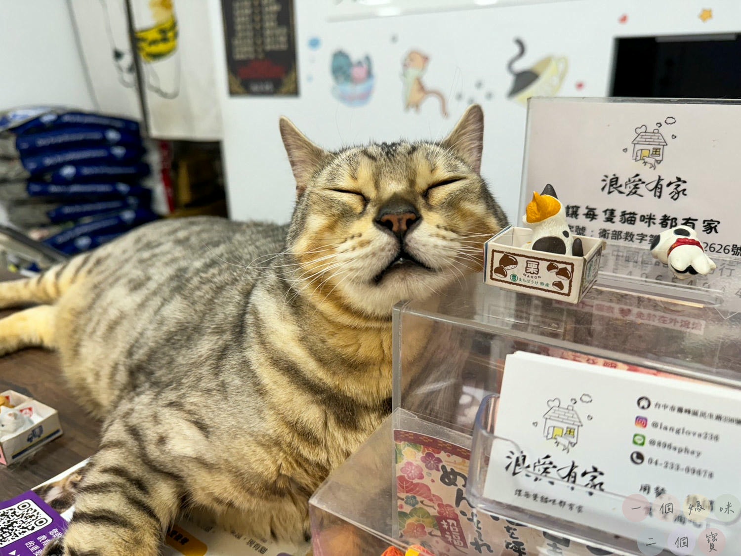 浪愛有家 (73)