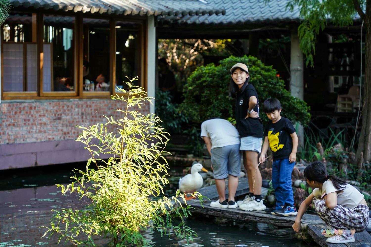 台中|田寮農莊》隱藏都市內,台中南屯古色農園景觀餐廳,隨時能吃到辦桌手路菜,欣賞落羽松與大片蓮池,寵物友善。 - 第87張圖 田寮農莊 小動物 (12)