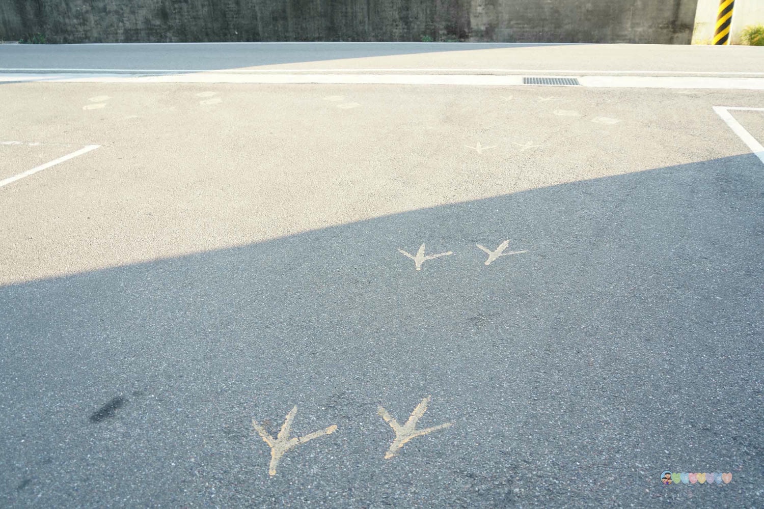 台中|田寮農莊》隱藏都市內,台中南屯古色農園景觀餐廳,隨時能吃到辦桌手路菜,欣賞落羽松與大片蓮池,寵物友善。 - 第6張圖 田寮農莊 環境 (38)