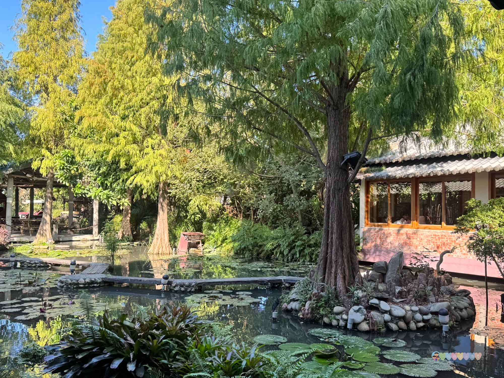 台中|田寮農莊》隱藏都市內,台中南屯古色農園景觀餐廳,隨時能吃到辦桌手路菜,欣賞落羽松與大片蓮池,寵物友善。 - 第21張圖 田寮農莊 環境 (66)